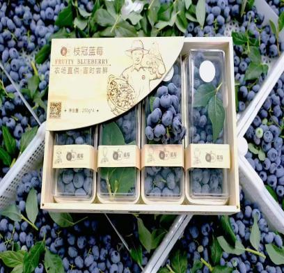 Imported fruit and domestic direct picking business