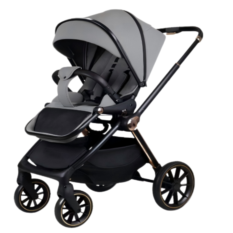 801E - Aluminum Reversible Stroller