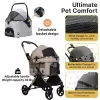 Stationary Pet Carriage