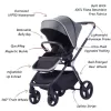 Aluminum Reversible Stroller