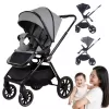 Aluminum Reversible Stroller