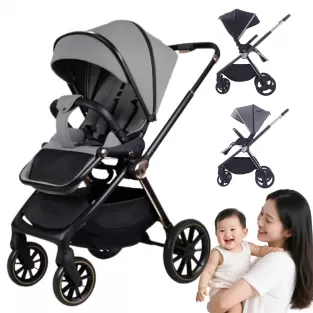Aluminum Reversible Stroller